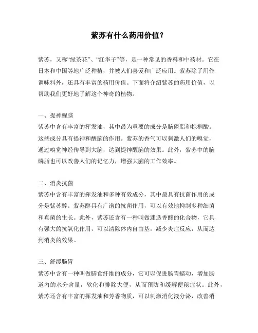 紫苏有什么药用价值？