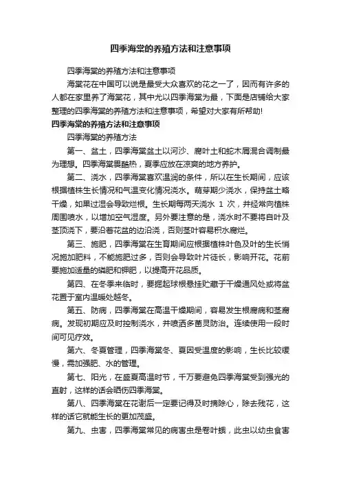 四季海棠的养殖方法和注意事项