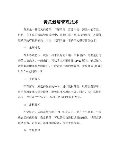 黄瓜栽培管理技术