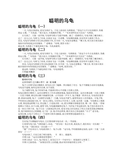 聪明的乌龟作文共九篇