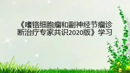 嗜铬细胞瘤和副神经节瘤诊断治疗专家共识2020版