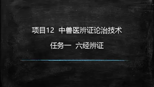 六经辨证课件(共14张PPT)《中兽医基础》