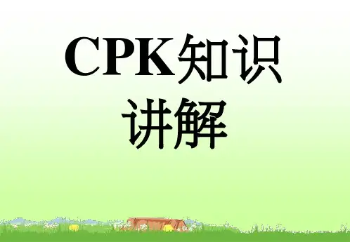 CPK知识讲解课件