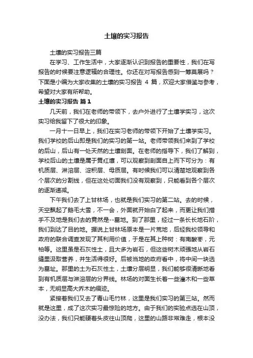 土壤的实习报告