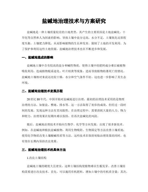 盐碱地治理技术与方案研究