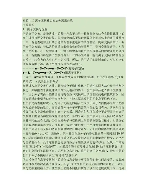 实验十二离子交换柱层析法分离蛋白质综述