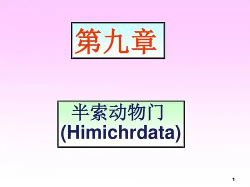 10 半索动物门(Himichordata)(含牙形石)