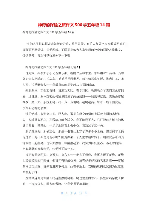 神奇的探险之旅作文500字五年级14篇