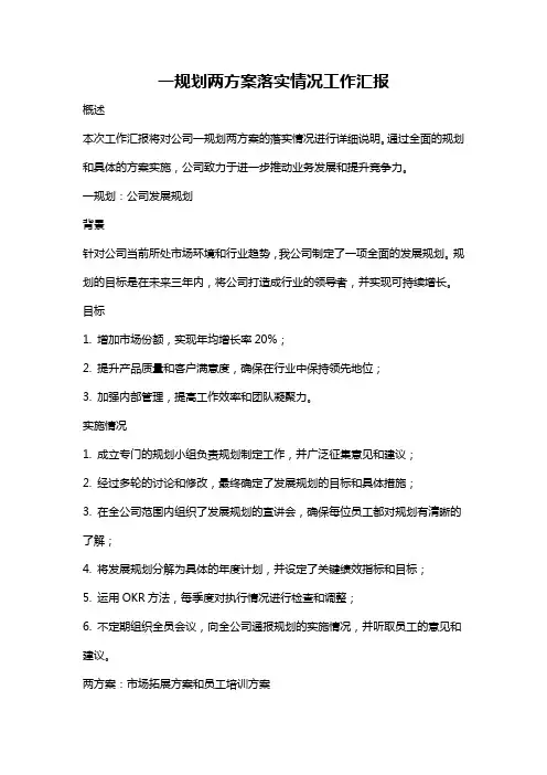一规划两方案落实情况工作汇报