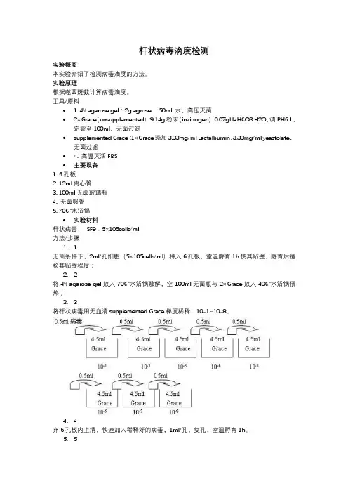 噬菌斑测病毒滴度