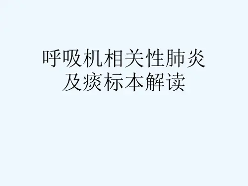 呼吸机相关性肺炎及痰标本解读[可修改版ppt]