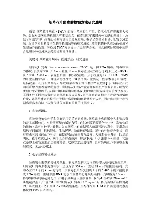 烟草花叶病毒的检测方法研究进展