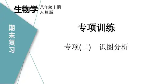 专项训练(二)识图分析(教学课件)-初中生物人教版八年级上册