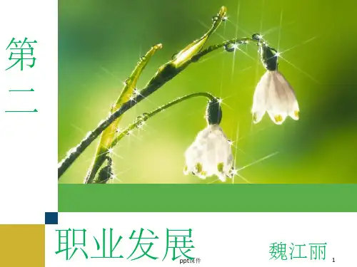 《职业发展》PPT课件