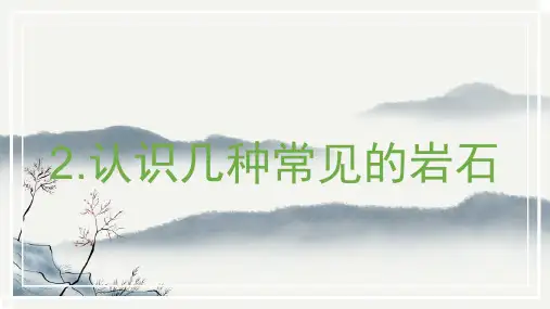 认识几种常见的岩石小学科学四年级下册PPT课件