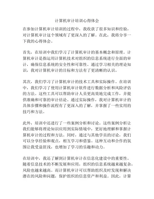 计算机审计培训心得体会