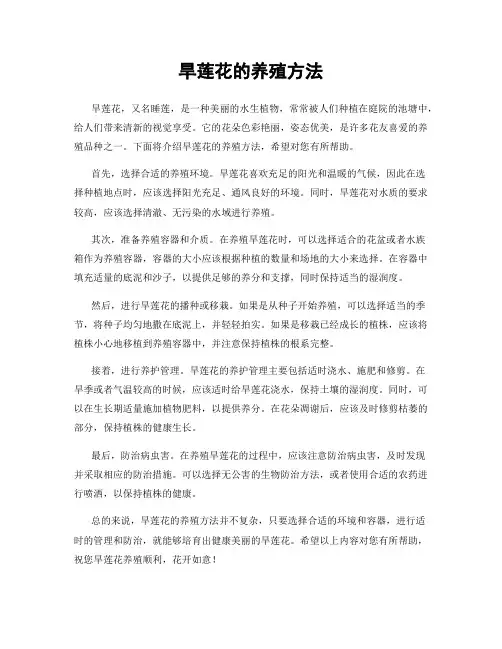 旱莲花的养殖方法