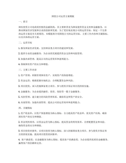 国投公司运营方案模板