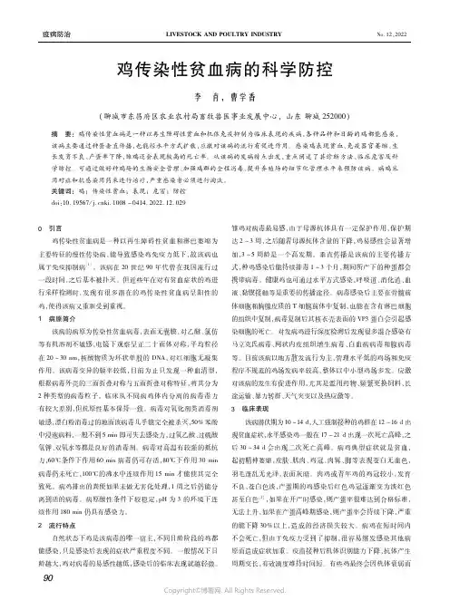 鸡传染性贫血病的科学防控