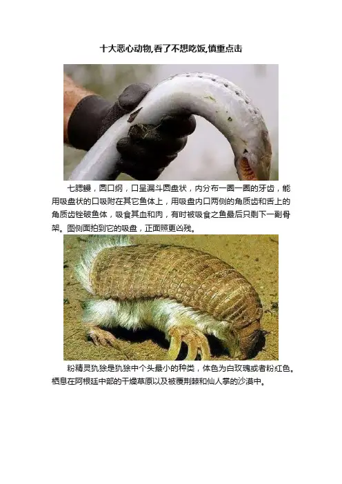 十大恶心动物,看了不想吃饭,慎重点击