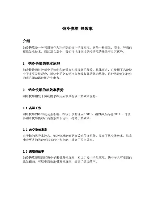 钠冷快堆 热效率