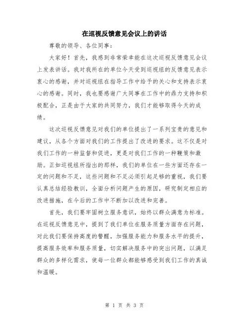 在巡视反馈意见会议上的讲话