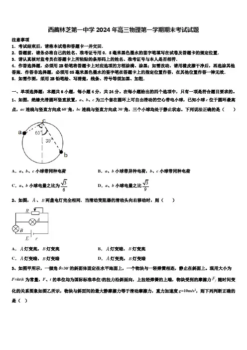 西藏林芝第一中学2024年高三物理第一学期期末考试试题含解析