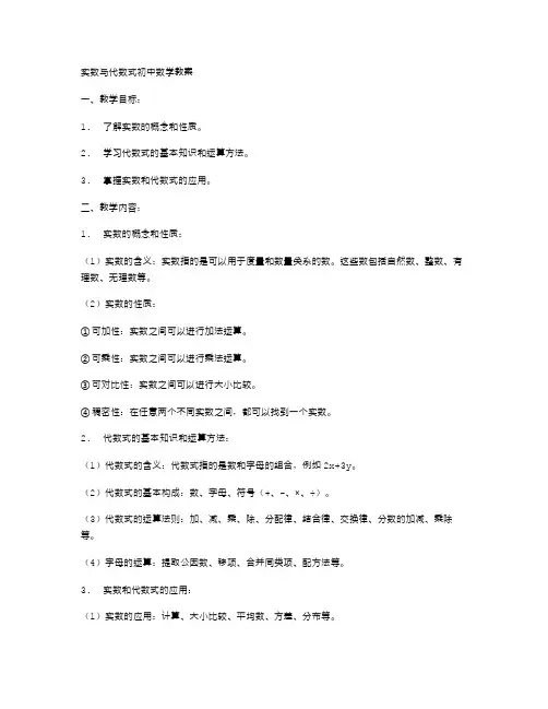 实数与代数式初中数学教案