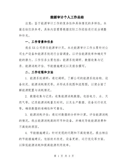 能源审计个人工作总结