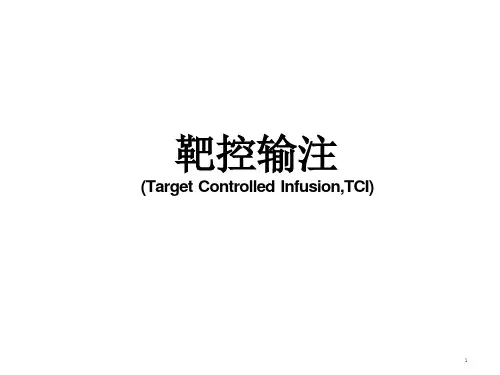 靶控输注ppt课件
