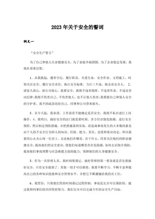 2023年关于安全的誓词_1