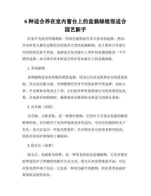 6种适合养在室内窗台上的盆栽绿植很适合园艺新手