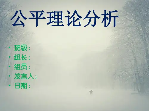 公平理论分析