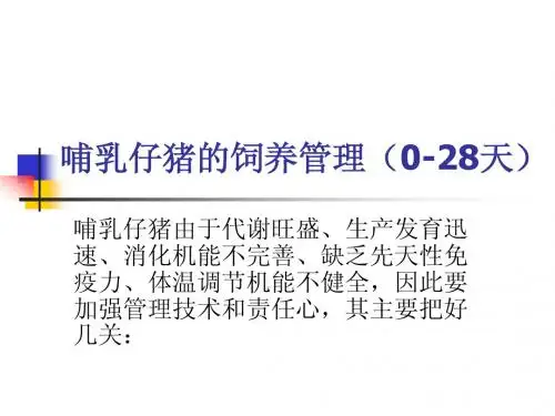 哺乳仔猪的饲养管