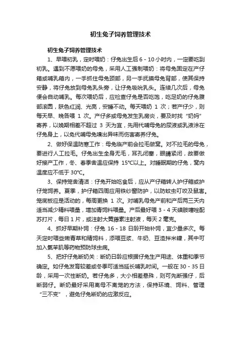 初生兔子饲养管理技术