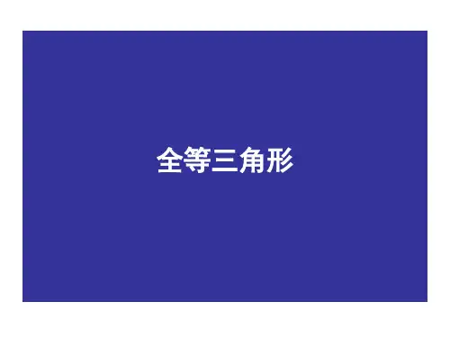 初三复习专题--全等三角形