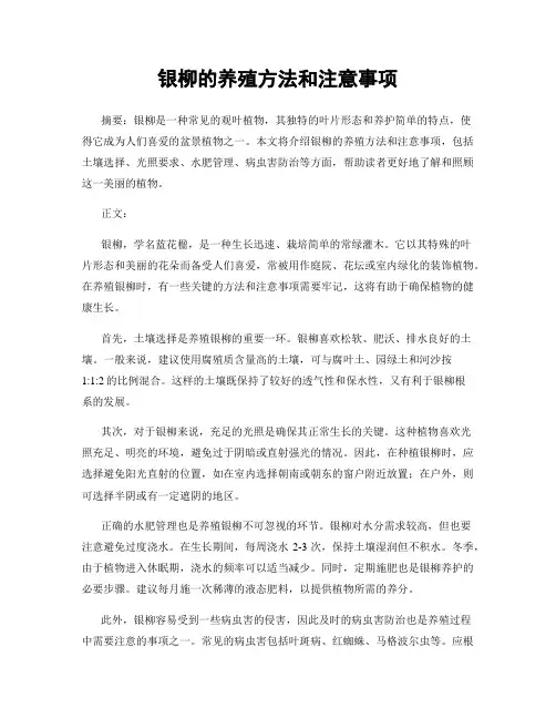 银柳的养殖方法和注意事项