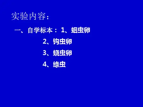 人体寄生虫学实验   线虫(实验课)_PPT幻灯片