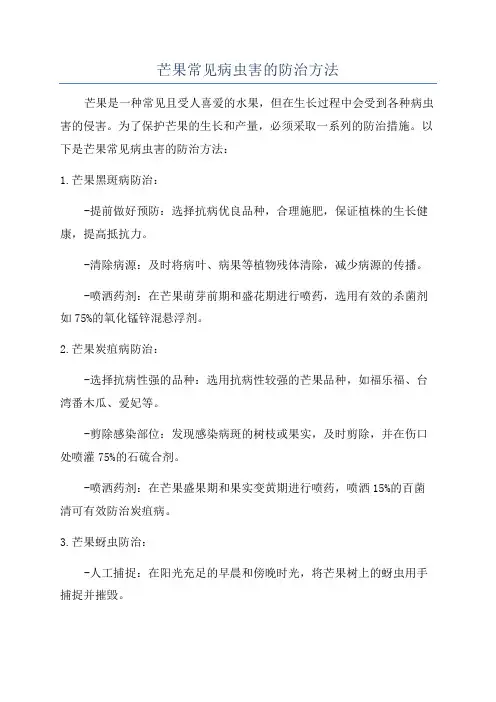 芒果常见病虫害的防治方法