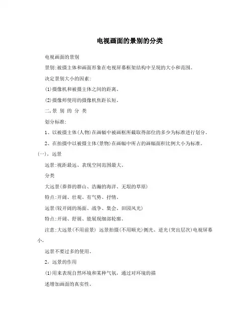 电视画面的景别的分类