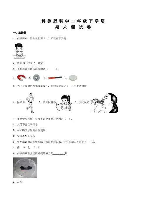 科教版二年级下册科学《期末考试卷》(含答案)