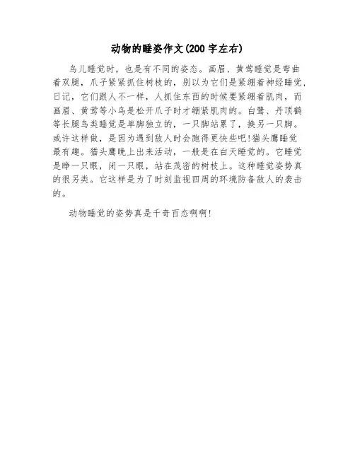 动物的睡姿作文(200字左右)