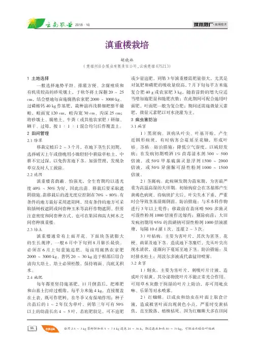 滇重楼栽培