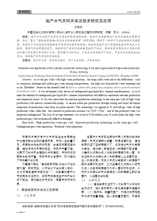 高产水气井同井采注技术研究及应用