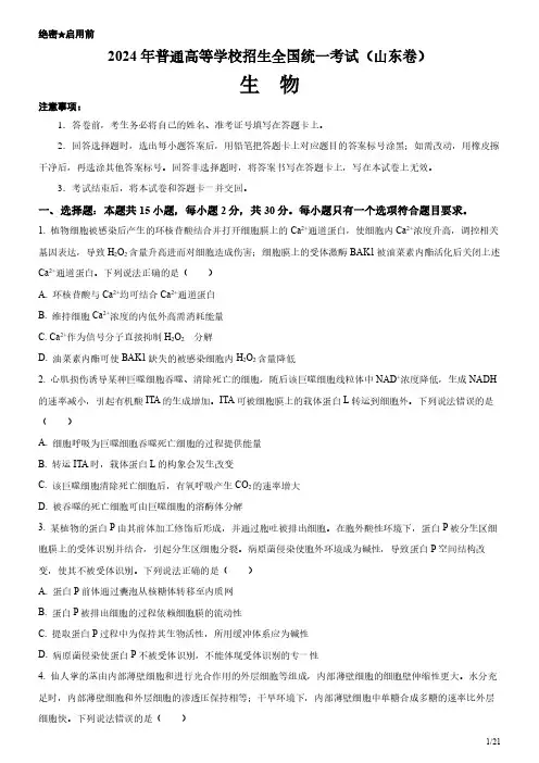2024年山东卷生物高考试卷(原卷+答案)