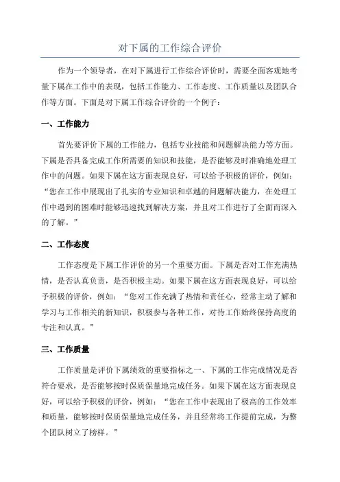 对下属的工作综合评价