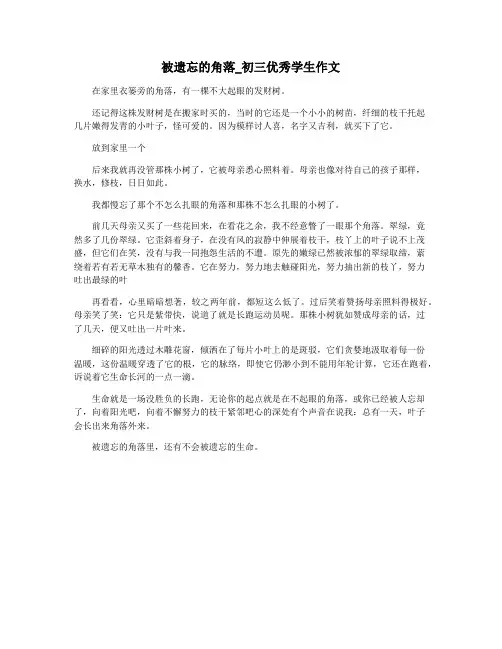 被遗忘的角落_初三优秀学生作文