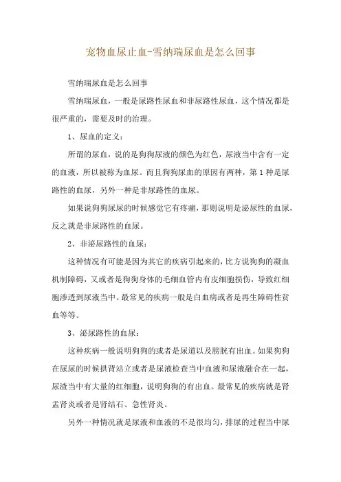 宠物血尿止血-雪纳瑞尿血是怎么回事