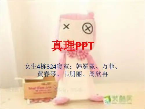 关于真理PPT