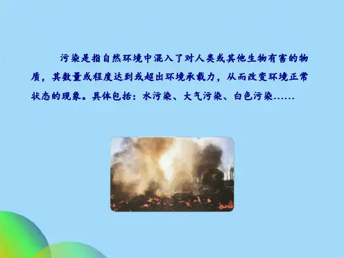 优选我们所了解的环境污染从白色污染说起ppt(共24张PPT)